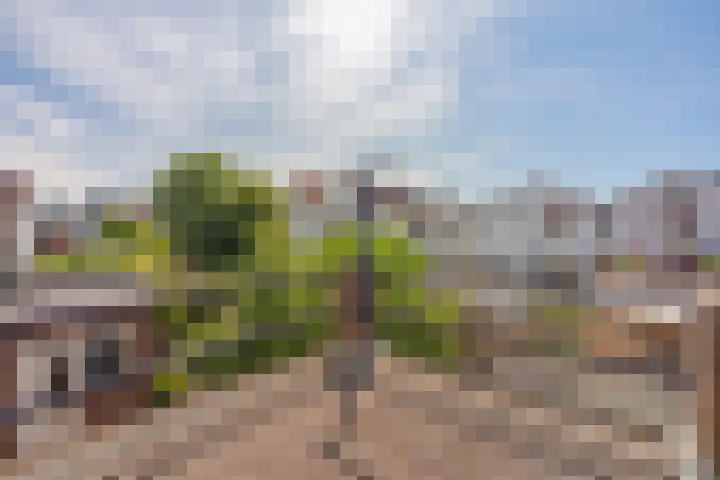 Kasteelstraat 178 Vlissingen thumbnail 41