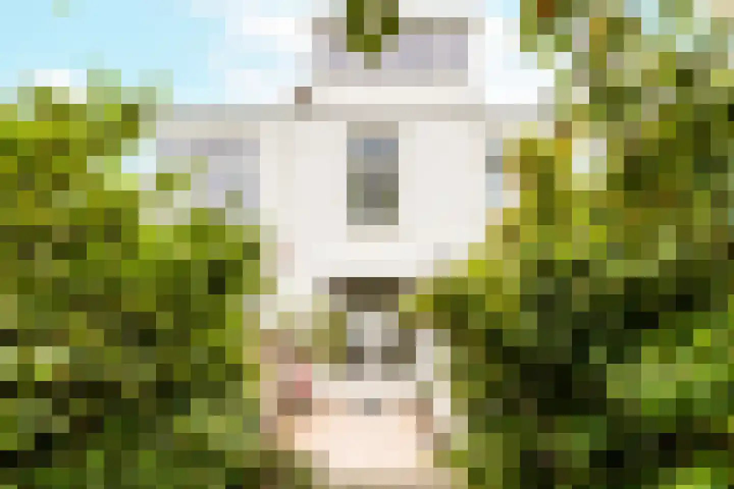 Kasteelstraat 184 Vlissingen thumbnail 17