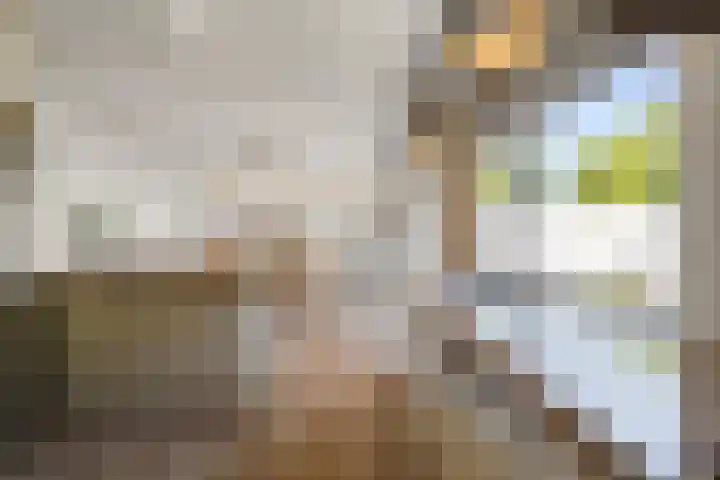 Kasteelstraat 22 Oudkarspel thumbnail 10