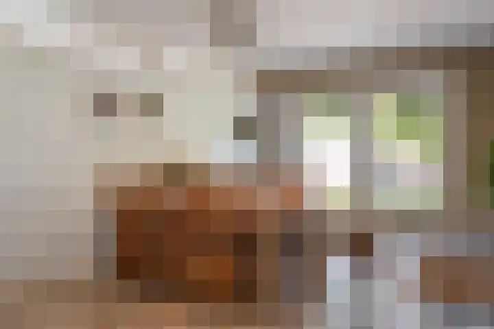 Kasteelstraat 22 Oudkarspel thumbnail 15