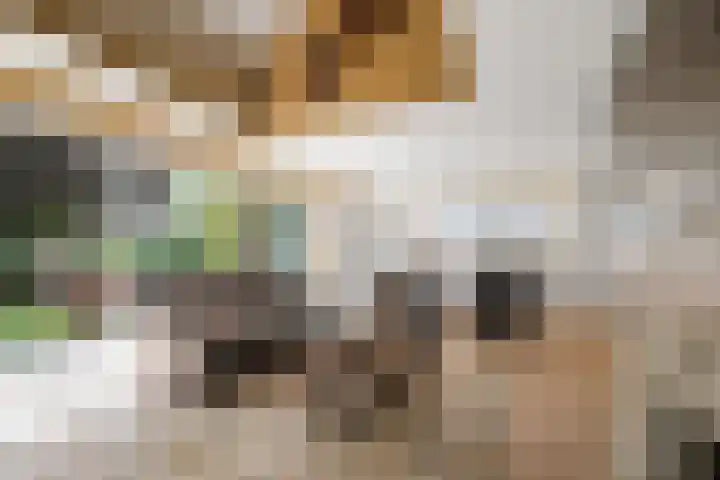 Kasteelstraat 22 Oudkarspel thumbnail 17