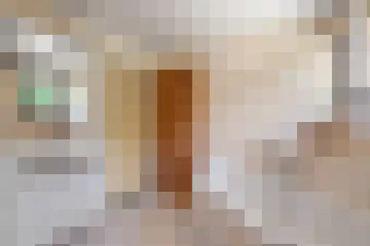 Kasteelstraat 22 Oudkarspel thumbnail 26