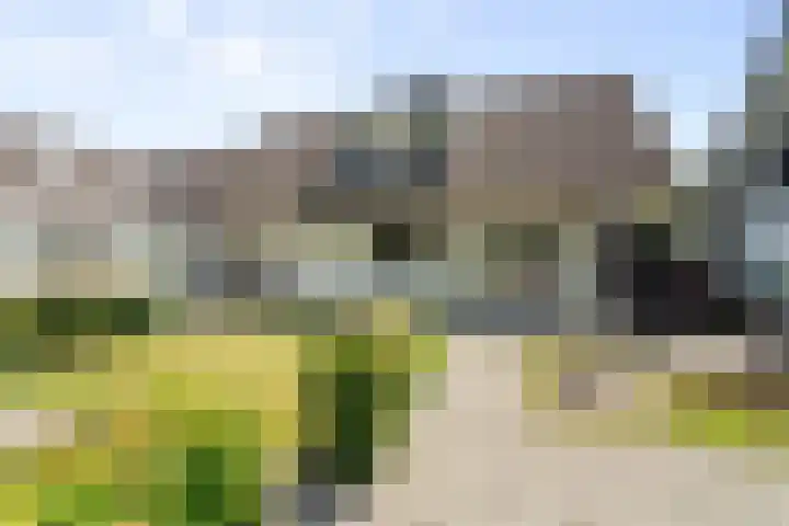 Kasteelstraat 22 Oudkarspel thumbnail 31