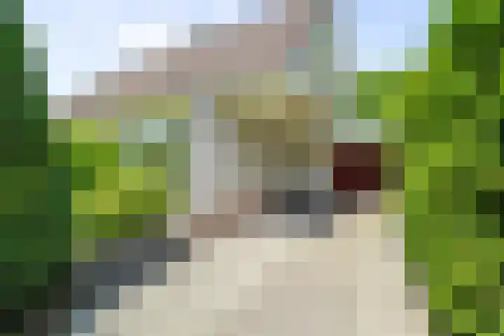 Kasteelstraat 22 Oudkarspel thumbnail 6