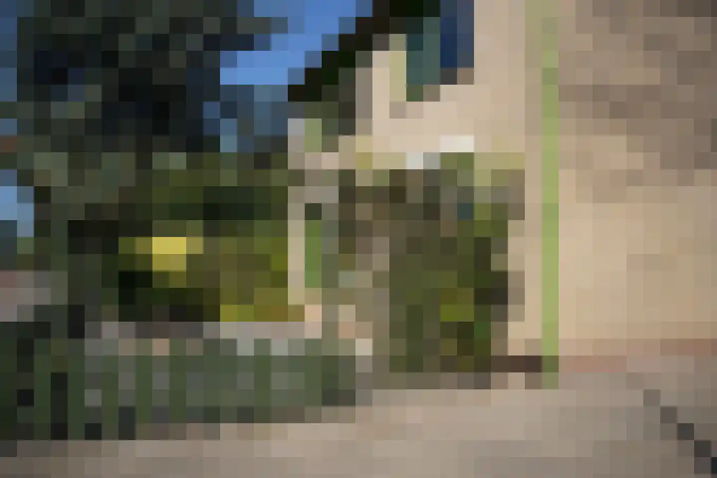 Kasteelstraat 36 Philippine thumbnail 42