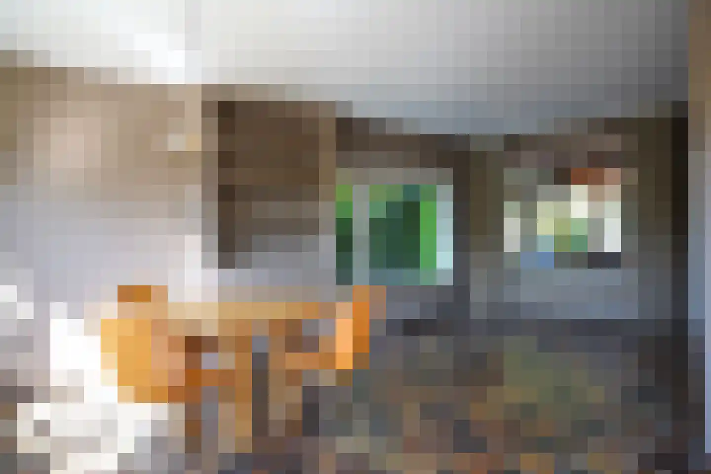Kasteelstraat 36 Philippine thumbnail 7