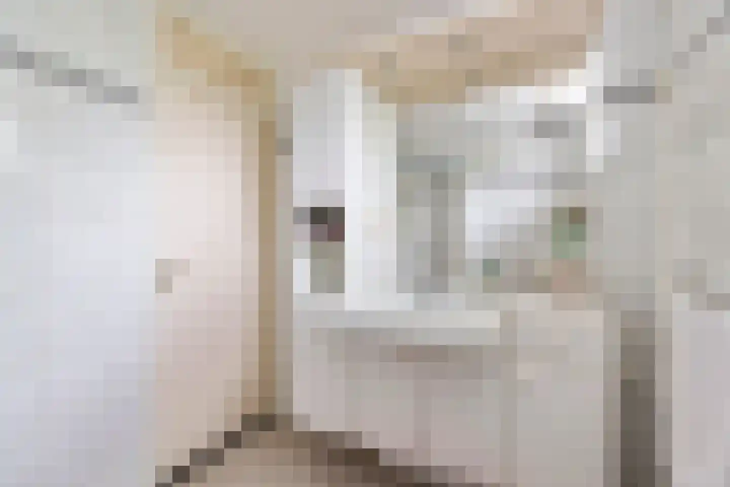 Kasteelstraat 39 Oudkarspel thumbnail 20