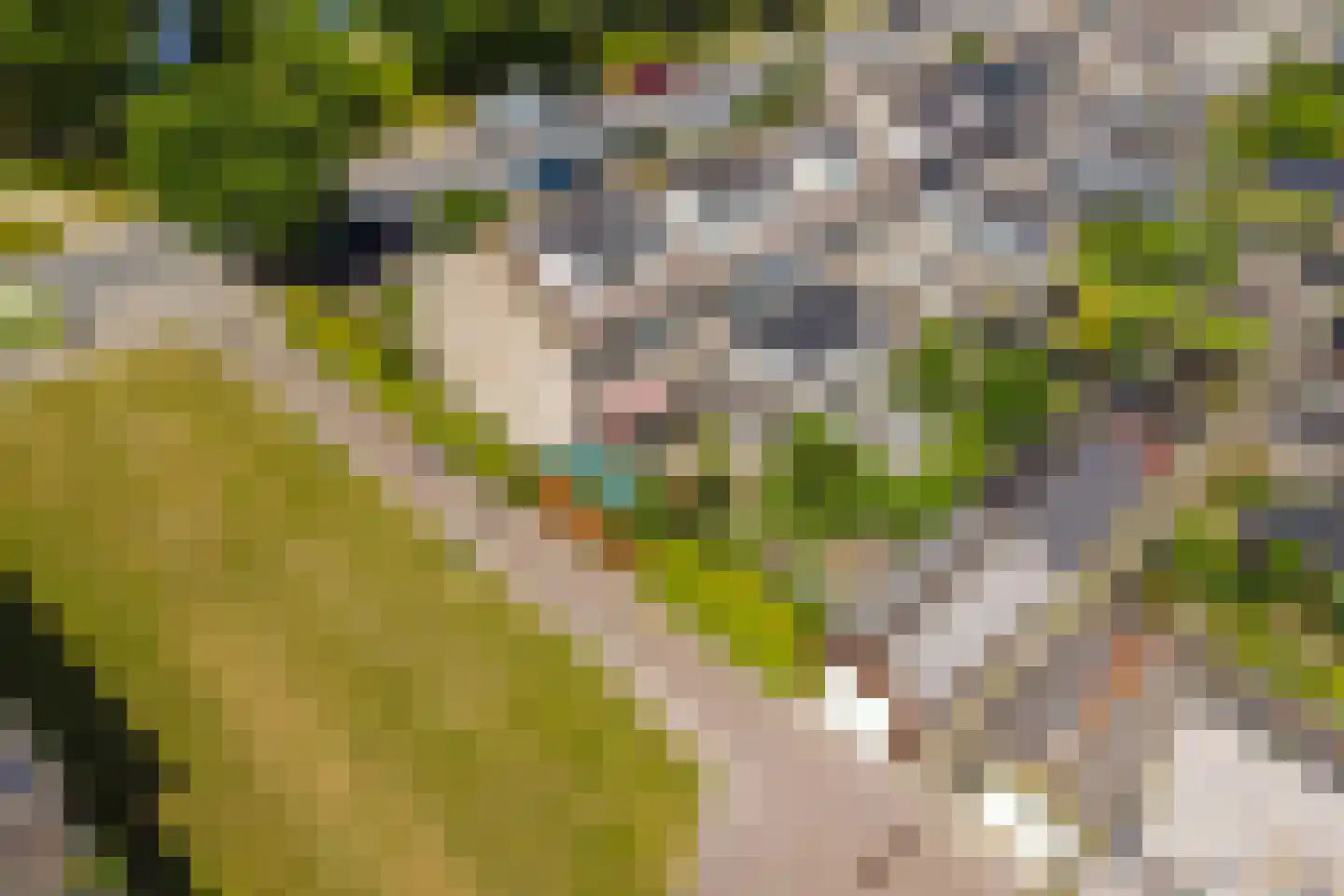 Kasteelstraat 39 Oudkarspel thumbnail 33