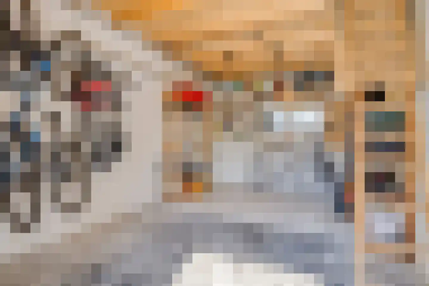 Kasteelstraat 4 Wouw thumbnail 19