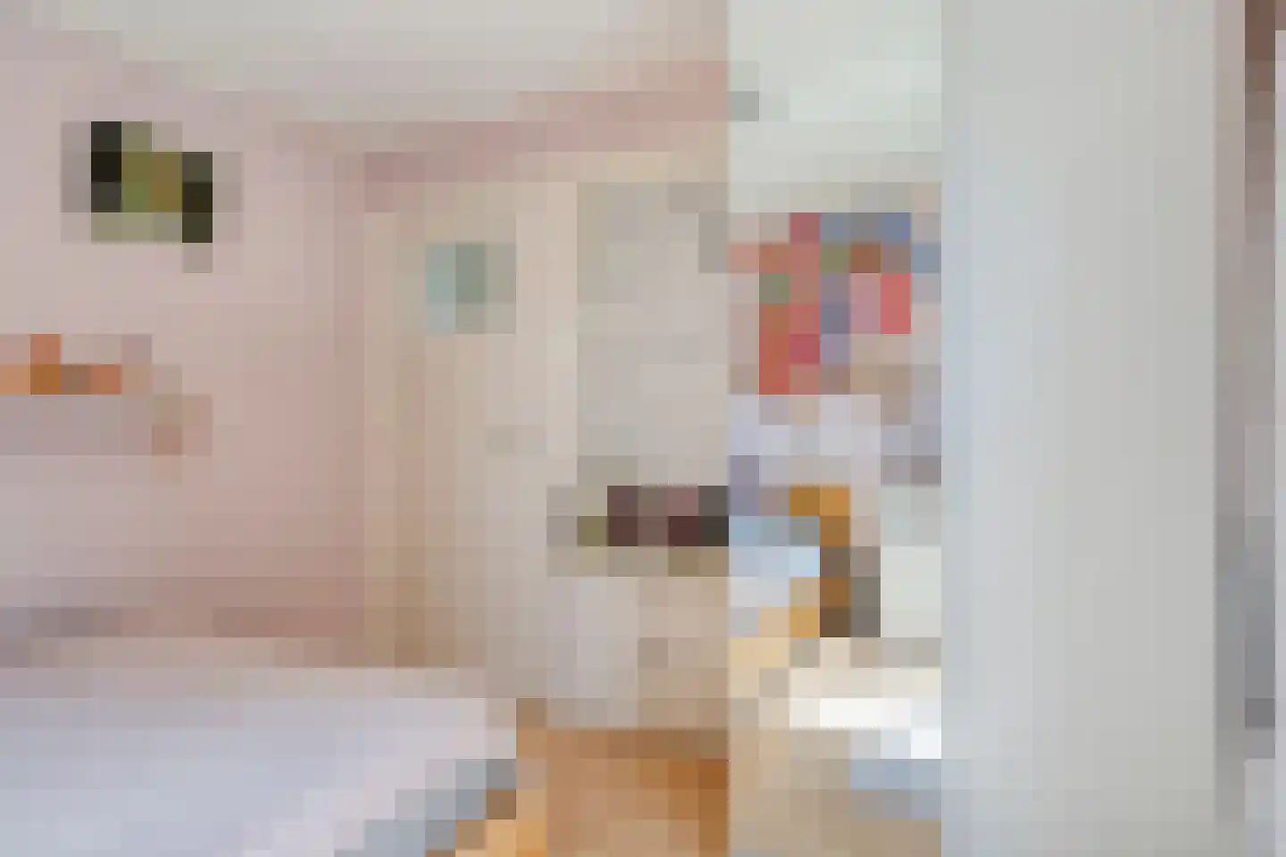 Kasteelstraat 4 Wouw thumbnail 25
