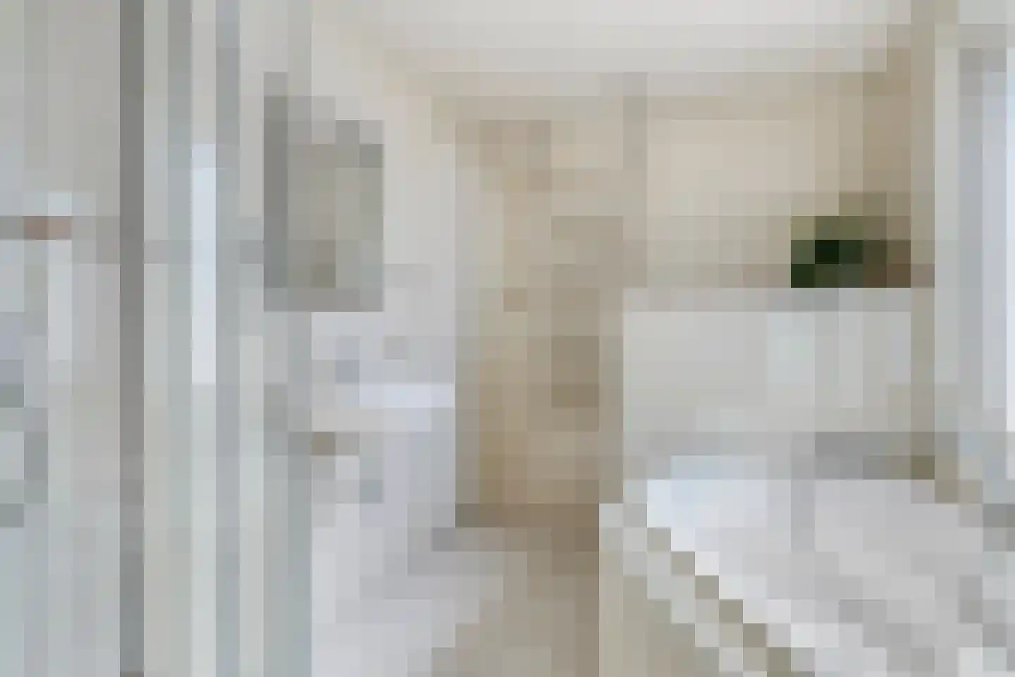 Kasteelstraat 4 Wouw thumbnail 29
