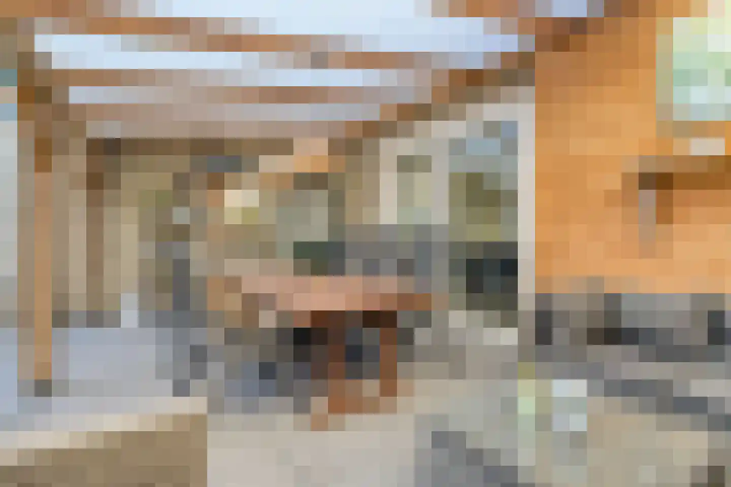 Kasteelstraat 4 Wouw thumbnail 36