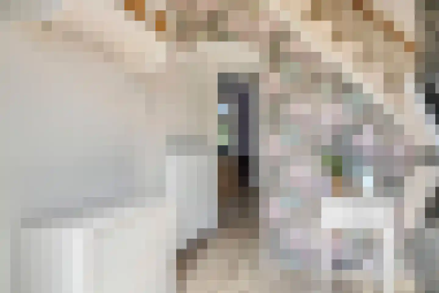 Kasteelstraat 4 Wouw thumbnail 6