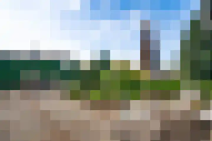 Kasteelstraat 59 Ulestraten thumbnail 20