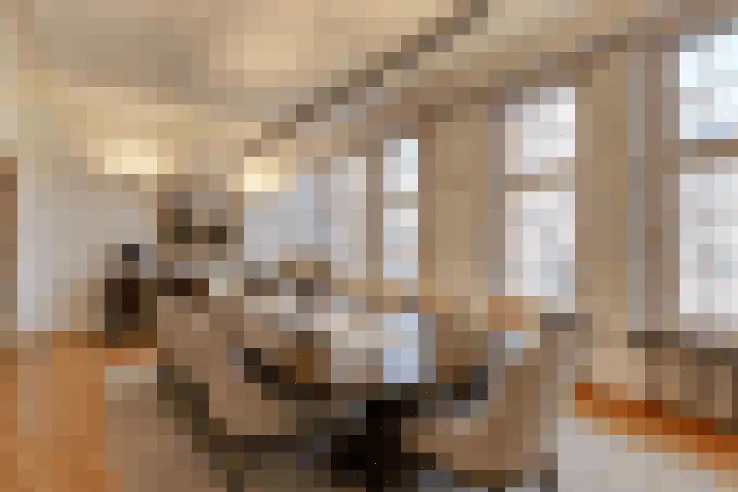 Kasteelstraat 6 Dalem thumbnail 4