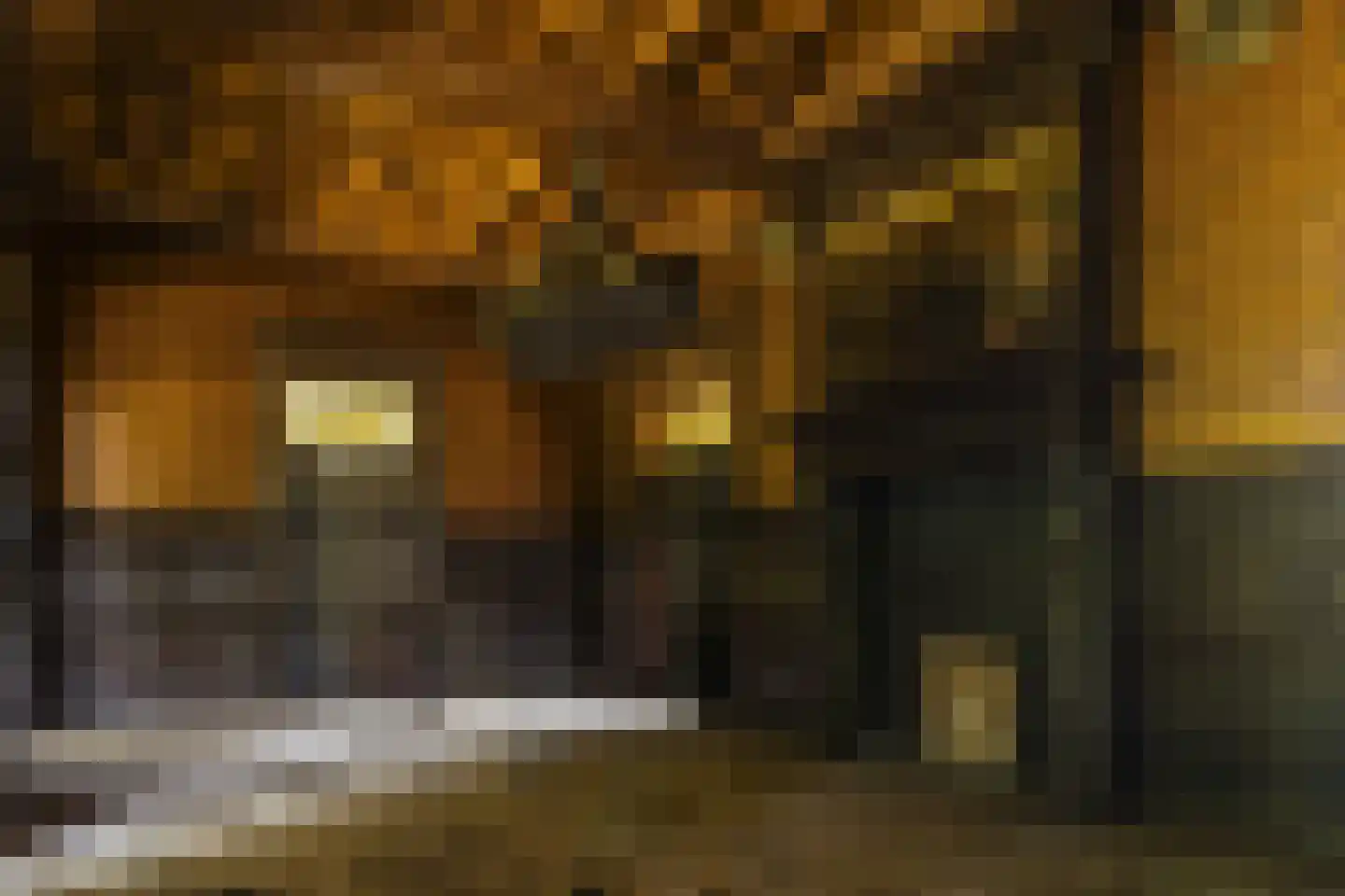 Kasteelstraat 60 Rasquert thumbnail 10