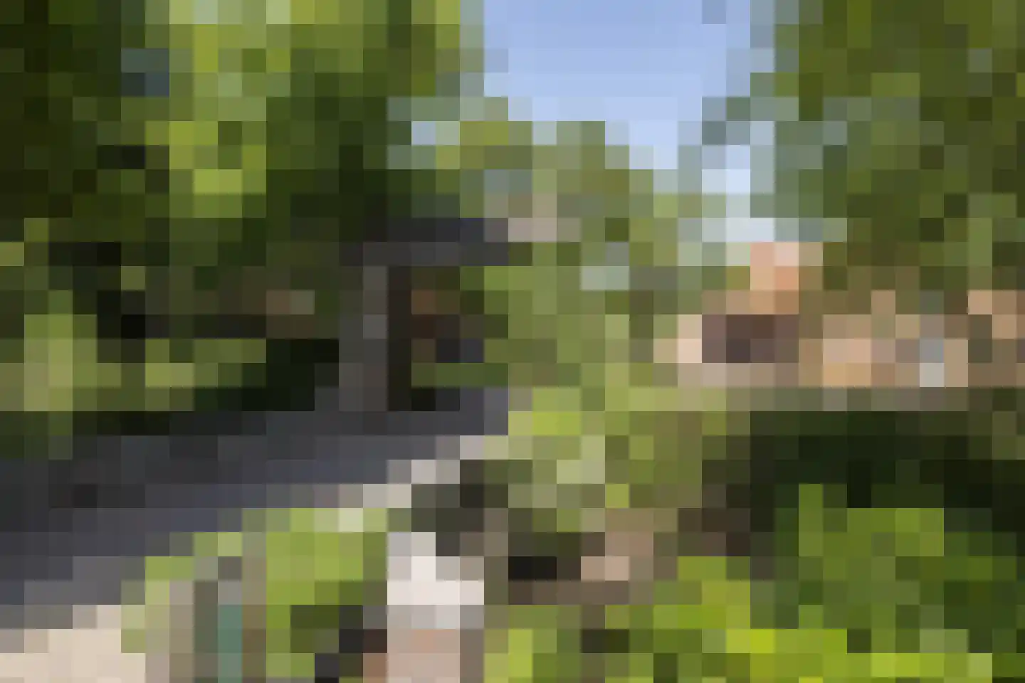 Kasteelstraat 60 Rasquert thumbnail 12