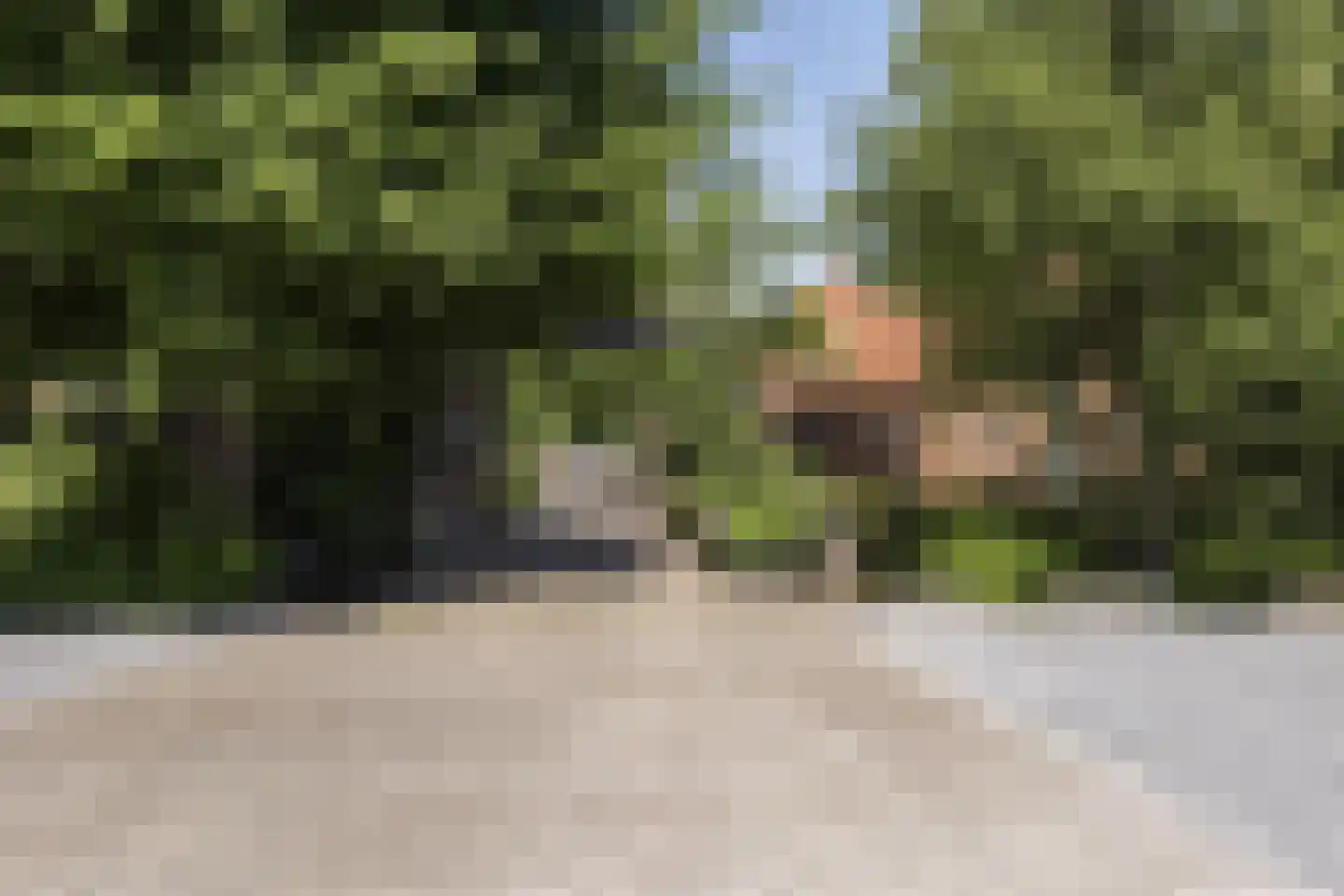 Kasteelstraat 60 Rasquert thumbnail 13
