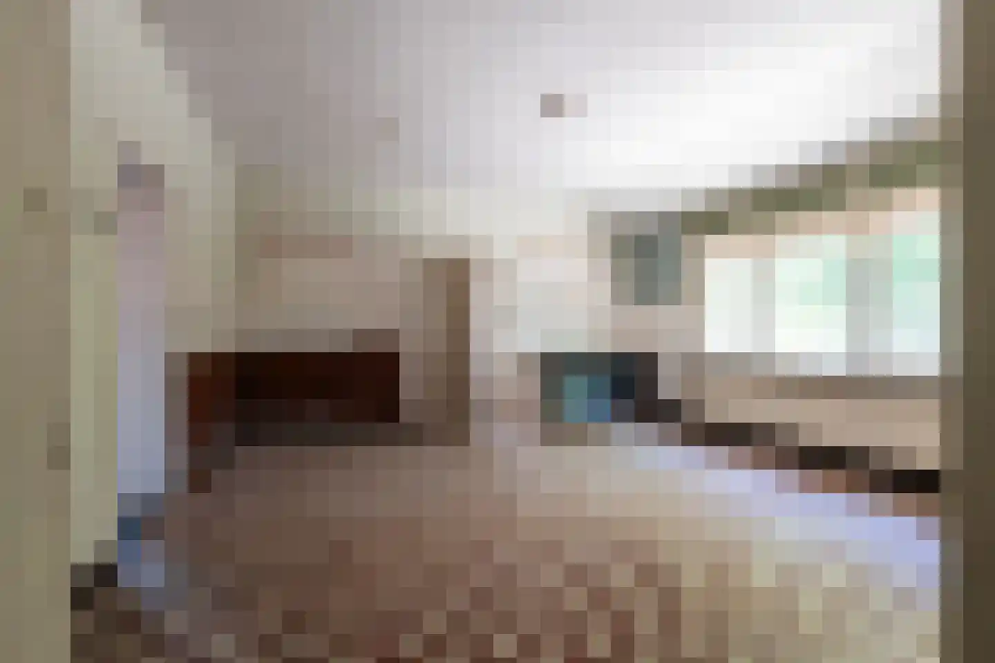 Kasteelstraat 60 Rasquert thumbnail 23