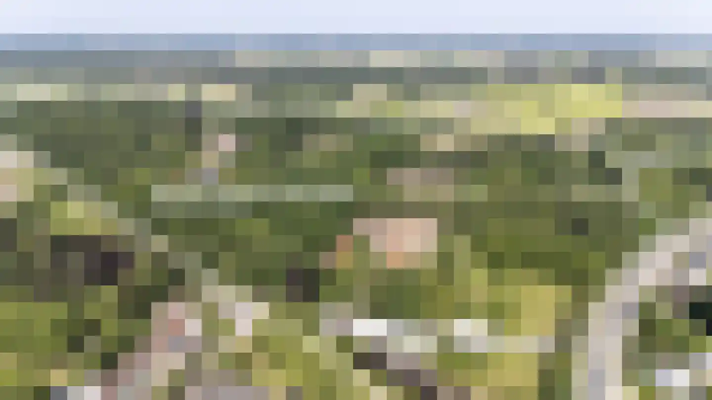 Kasteelstraat 60 Rasquert thumbnail 30