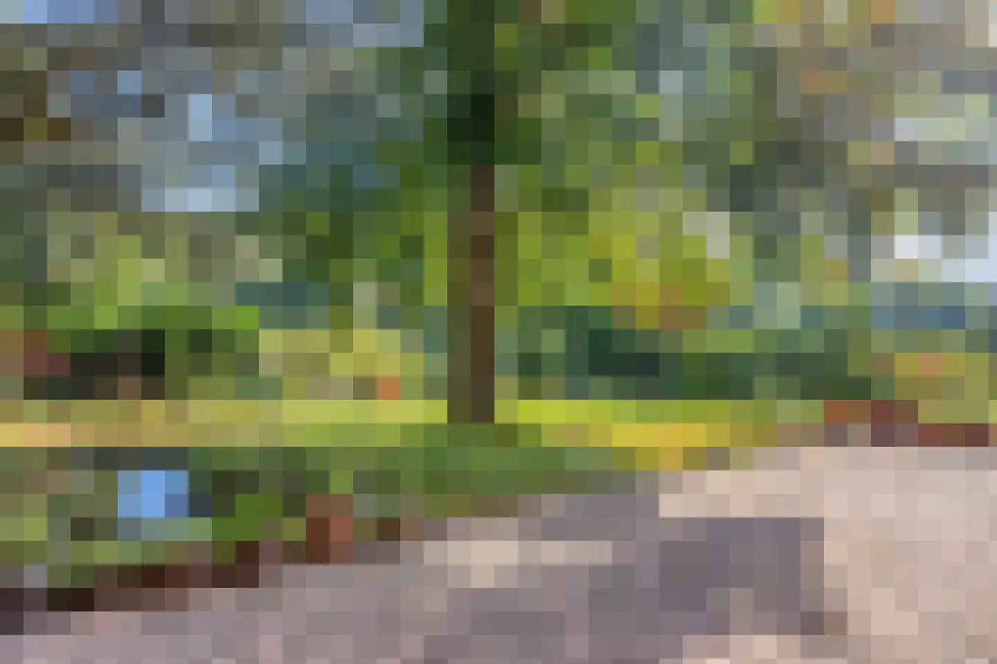 Kasteelstraat 64 Ulestraten thumbnail 30