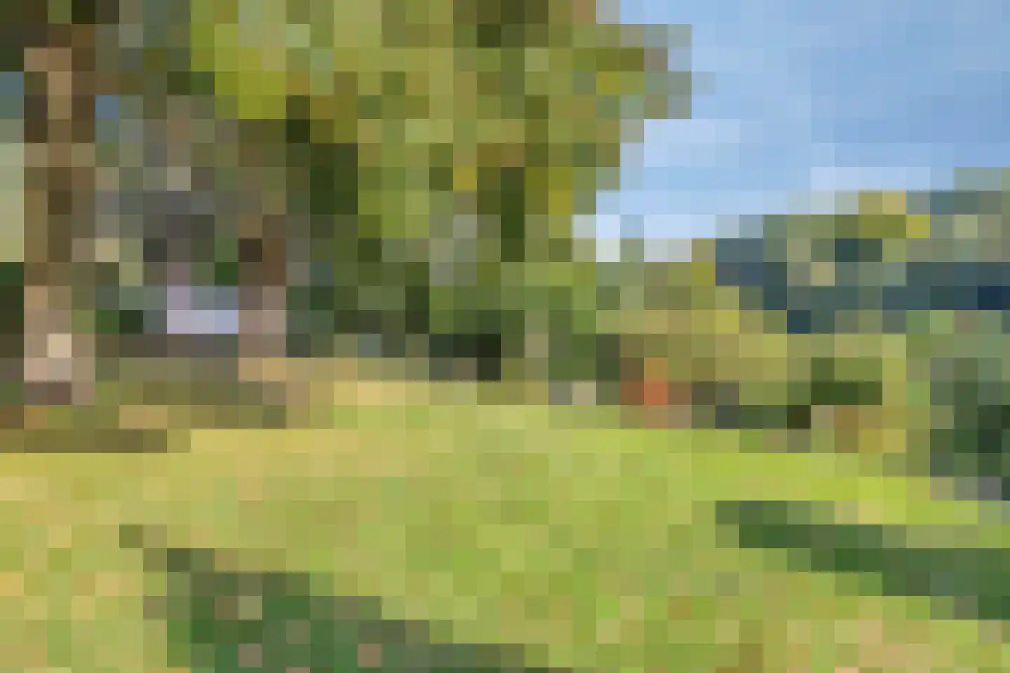 Kasteelstraat 64 Ulestraten thumbnail 35