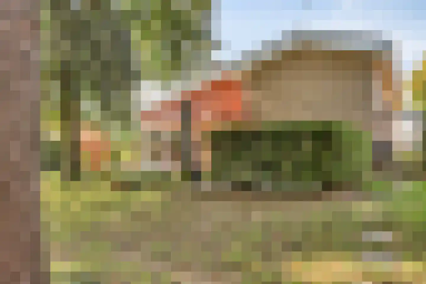 Kasteelstraat 64 Ulestraten thumbnail 36