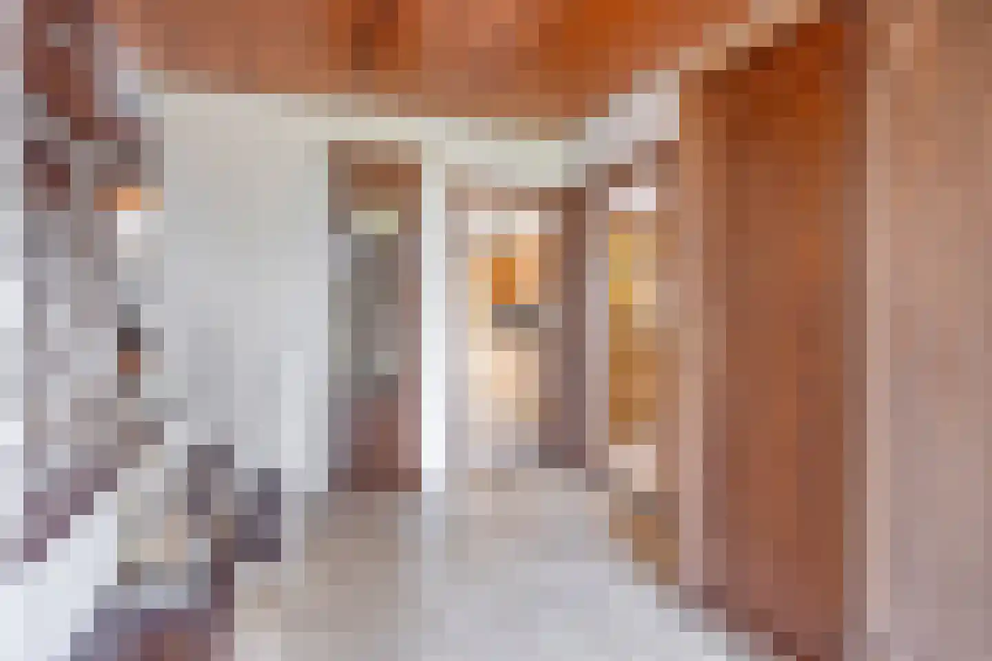 Kasteelstraat 64 Ulestraten thumbnail 7