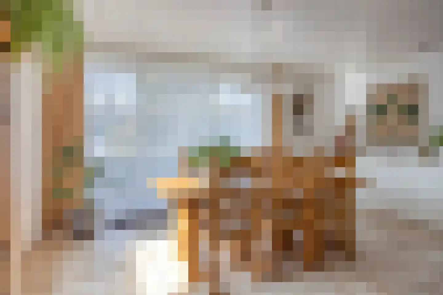 Kasteelstraat 64 Ulestraten thumbnail 9