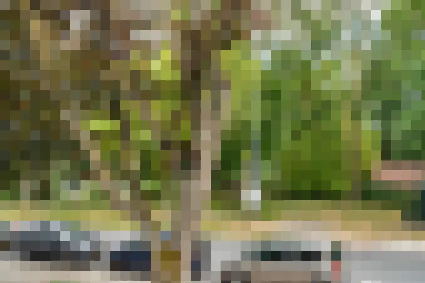Kasteelstraat 7 Oudkarspel thumbnail 26