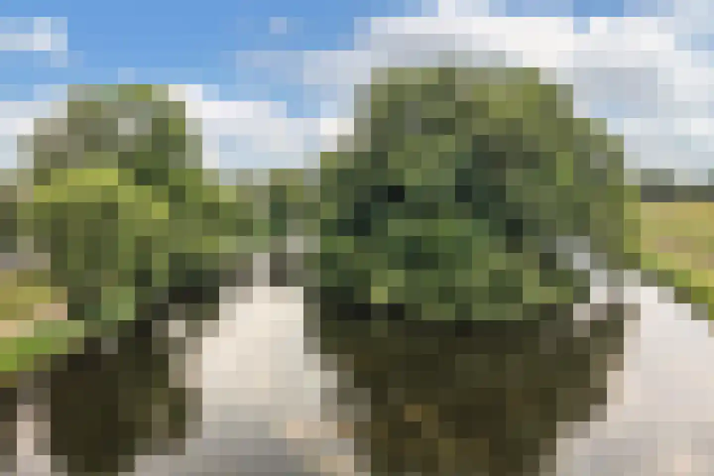 Kasteelstraat 7 Oudkarspel thumbnail 4