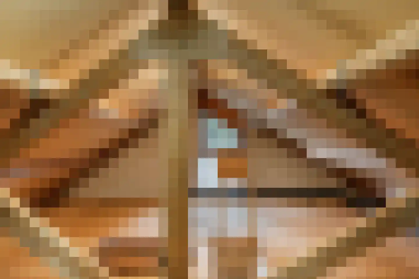 Kasteelstraat 7 Oudkarspel thumbnail 41