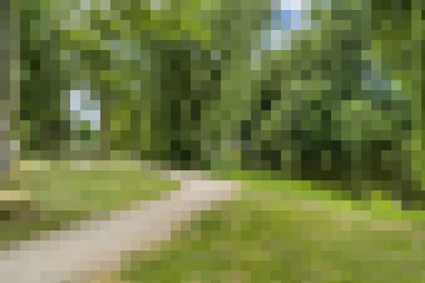 Kasteelstraat 7 Oudkarspel thumbnail 51