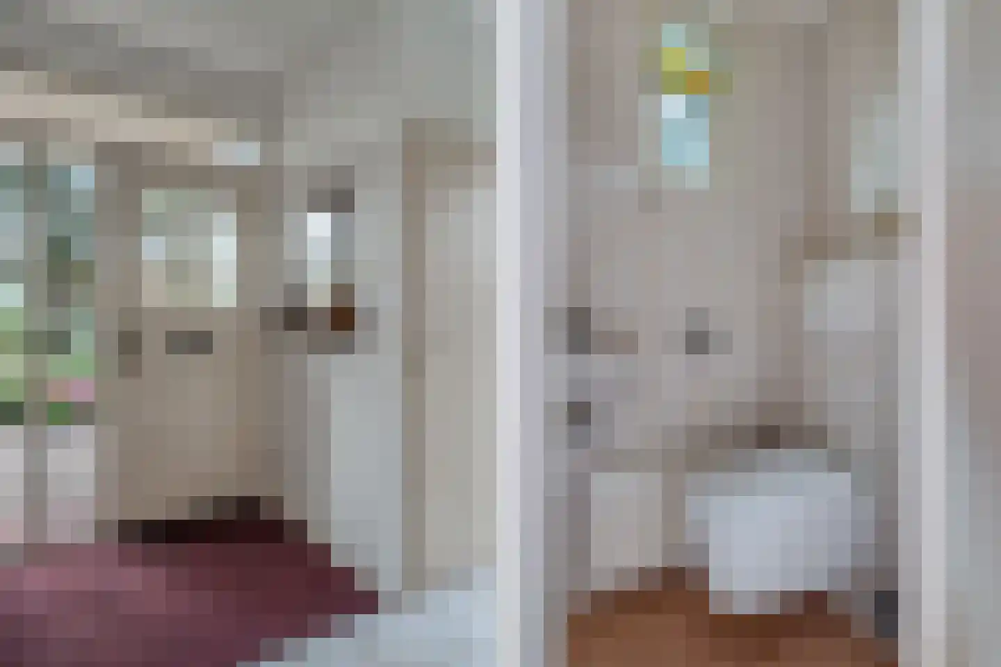 Kasteelstraat 7 Oudkarspel thumbnail 9