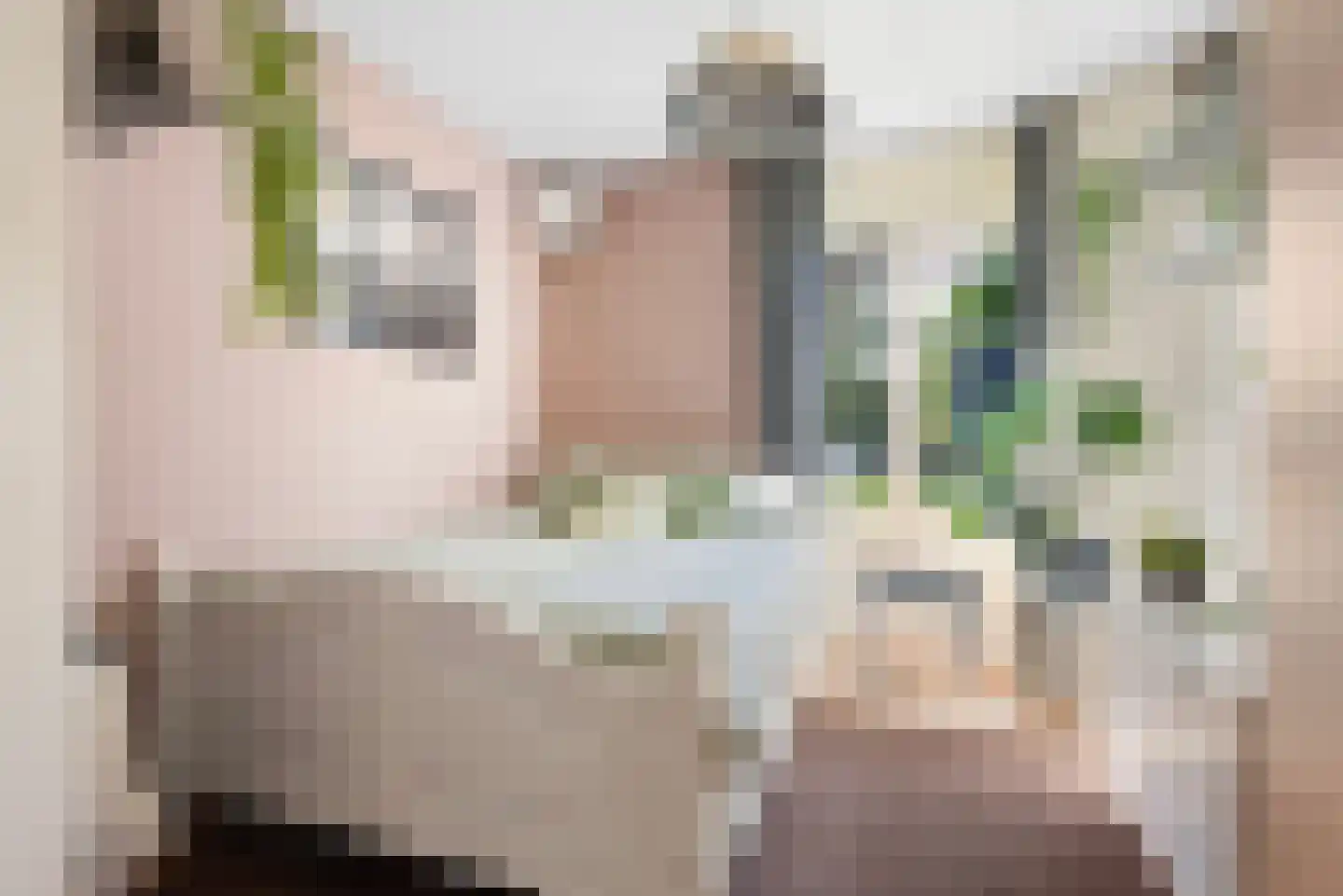 Kasteelstraat 77 Ulestraten thumbnail 13