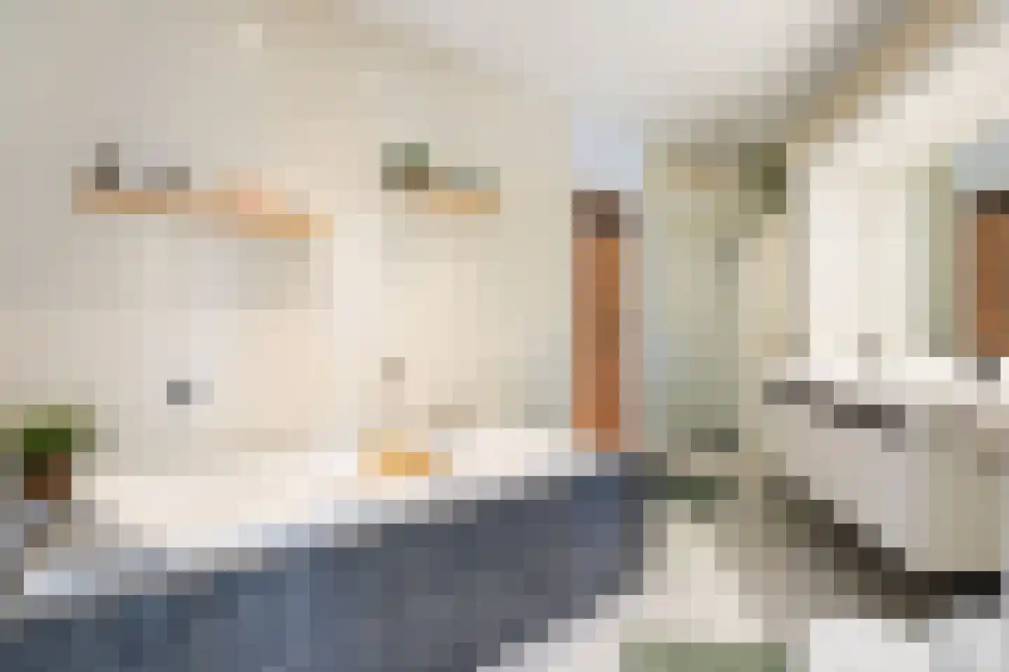 Kasteelstraat 77 Ulestraten thumbnail 17