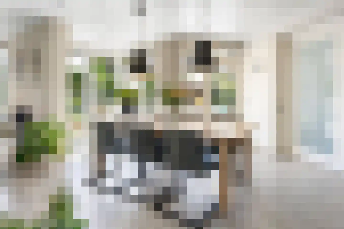 Kasteelstraat 77 Ulestraten thumbnail 4