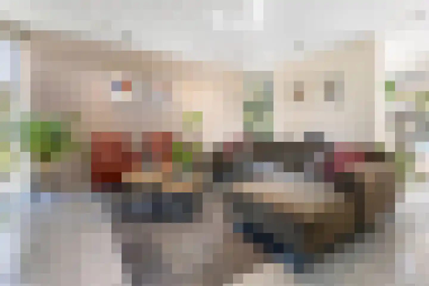 Kasteelstraat 77 Ulestraten thumbnail 6