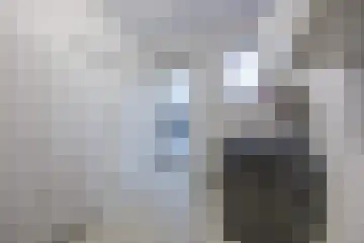 Kasteelstraat 9 Philippine thumbnail 17