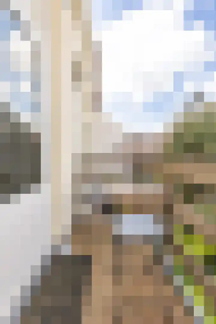 Kasteelstraat 99 Vlissingen thumbnail 31