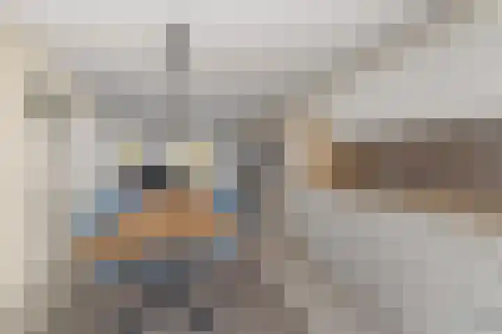 Kasteeltuin 6 Houten thumbnail 6