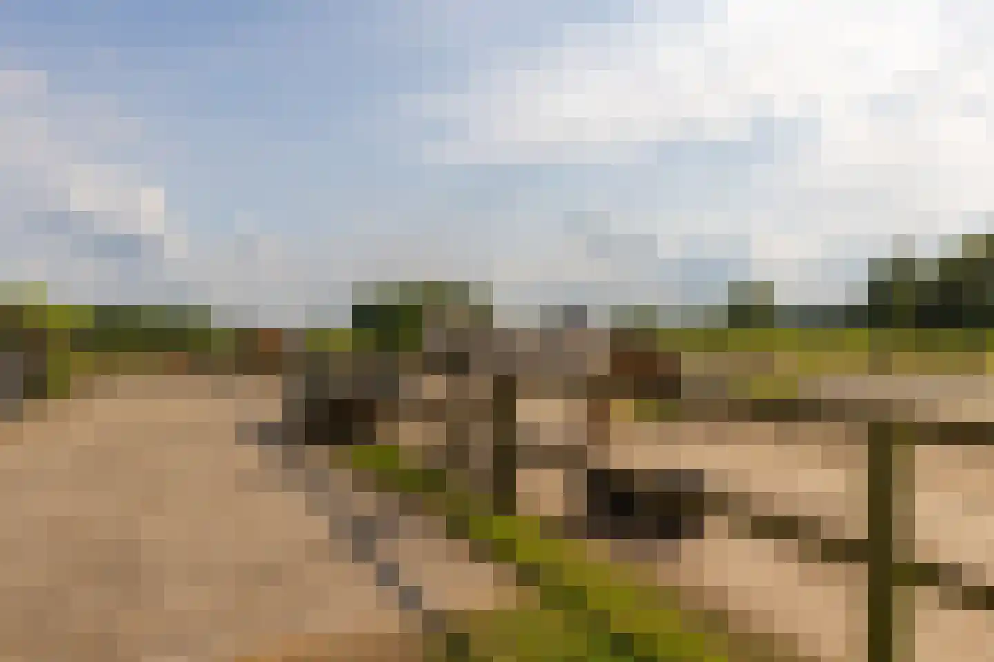 Kasteelweg 12 Kring van Dorth thumbnail 52