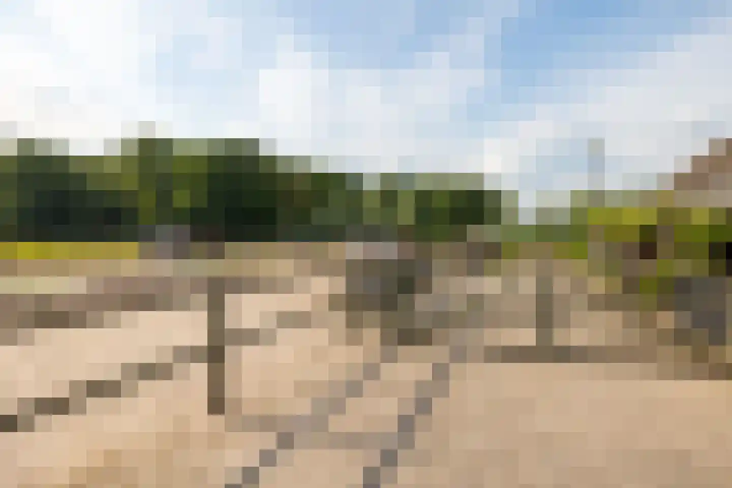 Kasteelweg 12 Kring van Dorth thumbnail 53