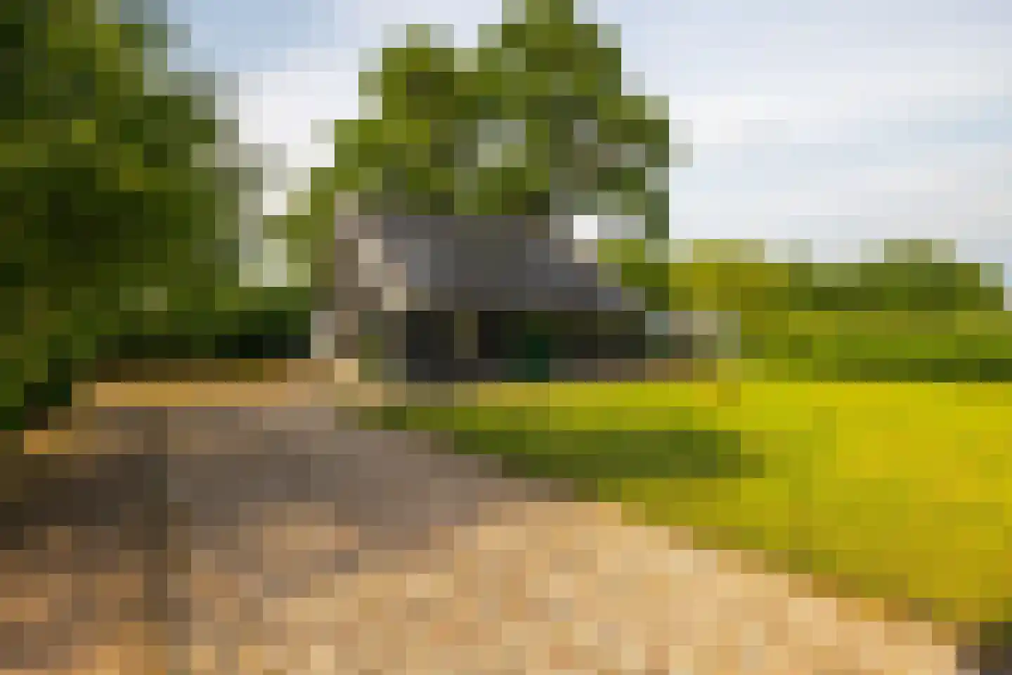 Kasteelweg 12 Kring van Dorth thumbnail 77