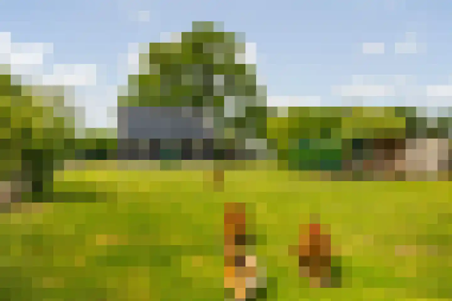 Kasteelweg 12 Kring van Dorth thumbnail 78