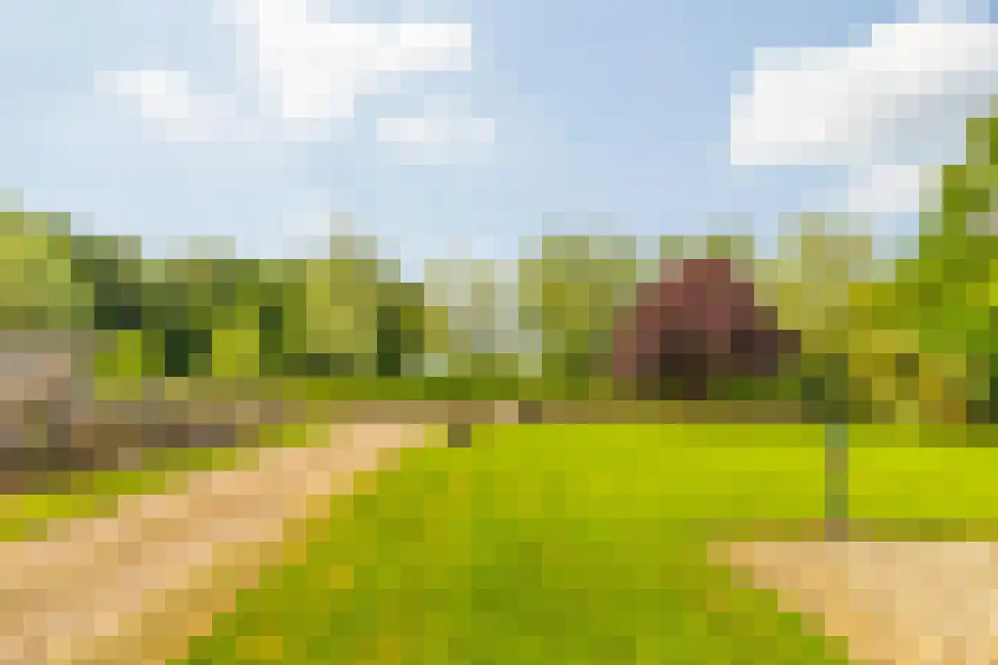 Kasteelweg 12 Kring van Dorth thumbnail 80