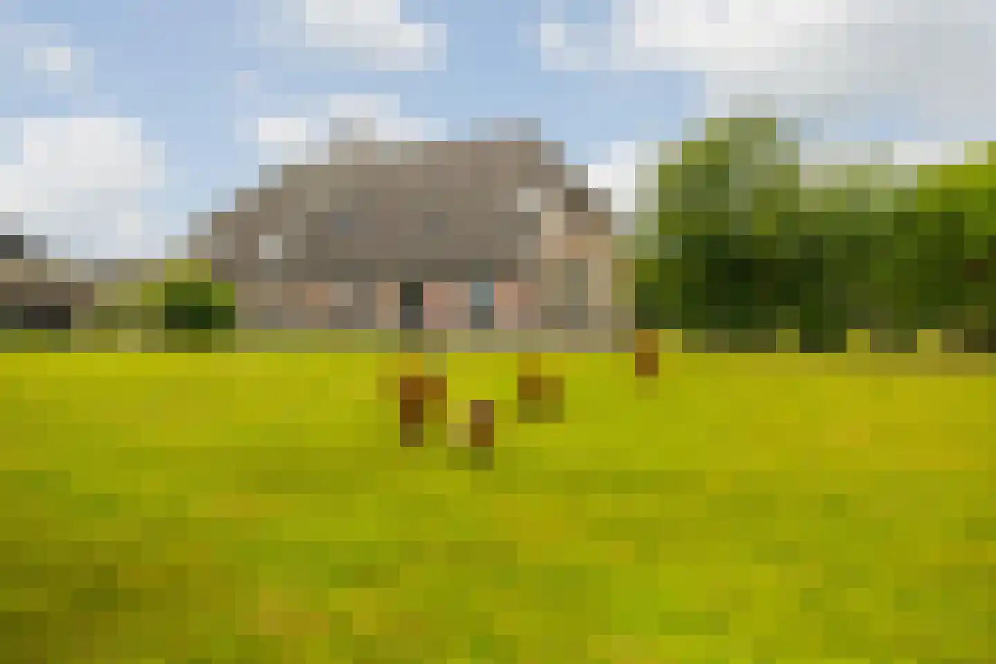 Kasteelweg 12 Kring van Dorth thumbnail 81