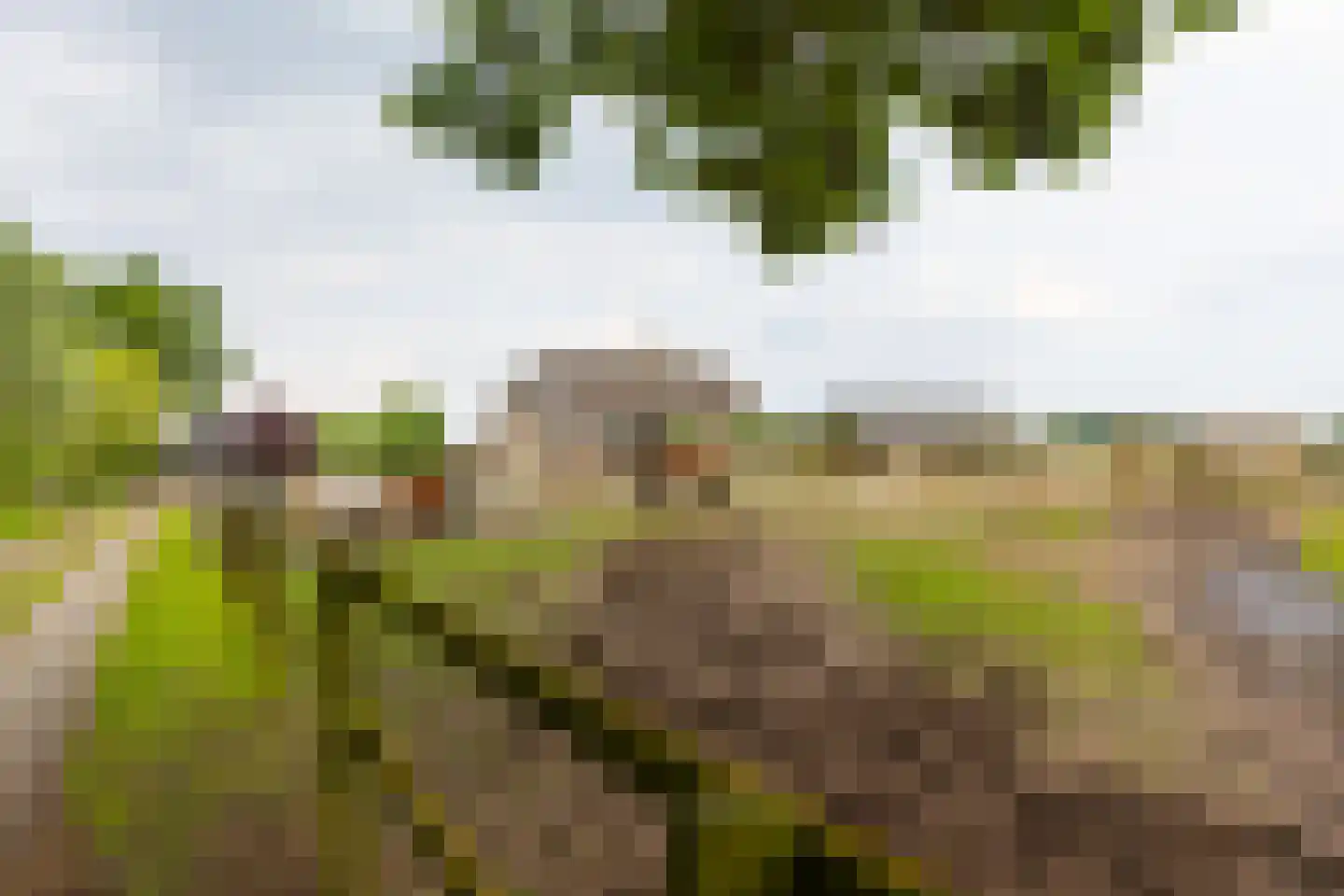 Kasteelweg 12 Kring van Dorth thumbnail 83