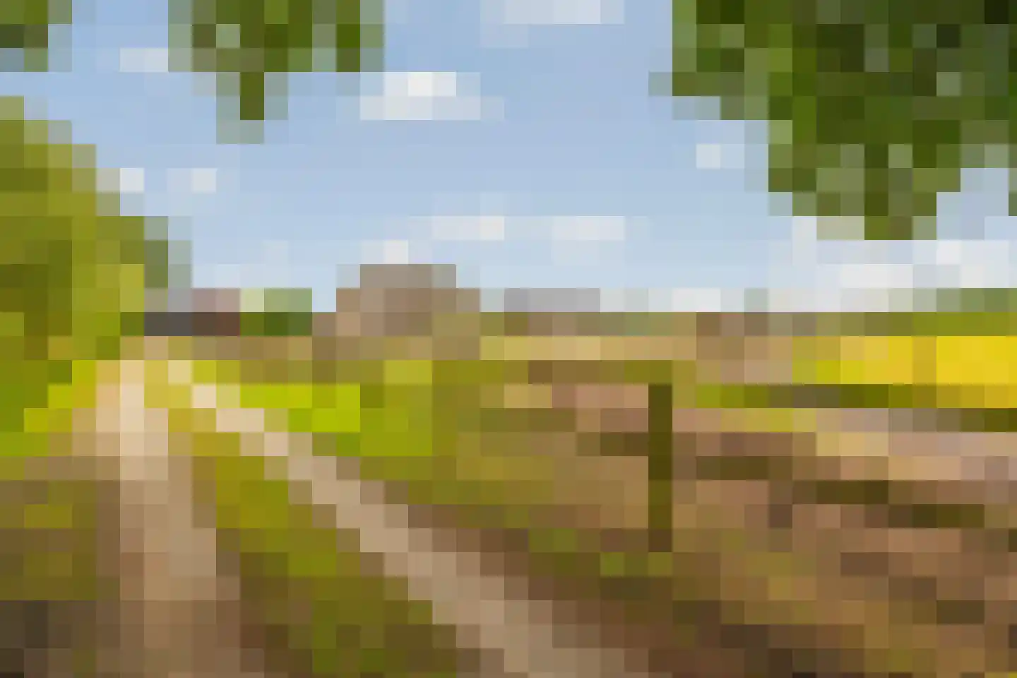 Kasteelweg 12 Kring van Dorth thumbnail 84