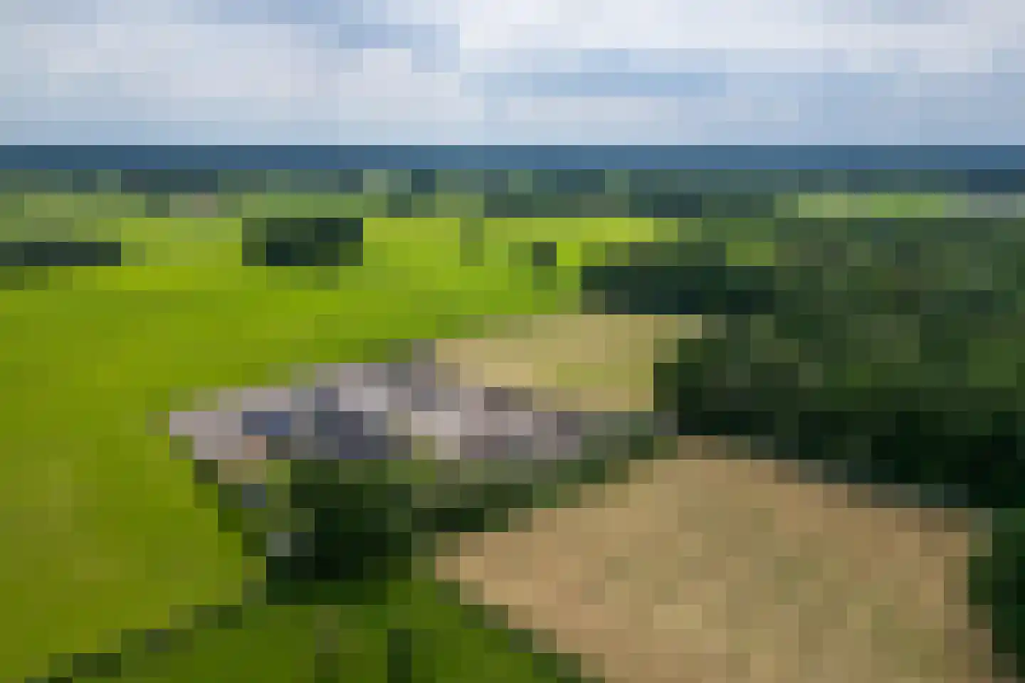 Kasteelweg 12 Kring van Dorth thumbnail 87